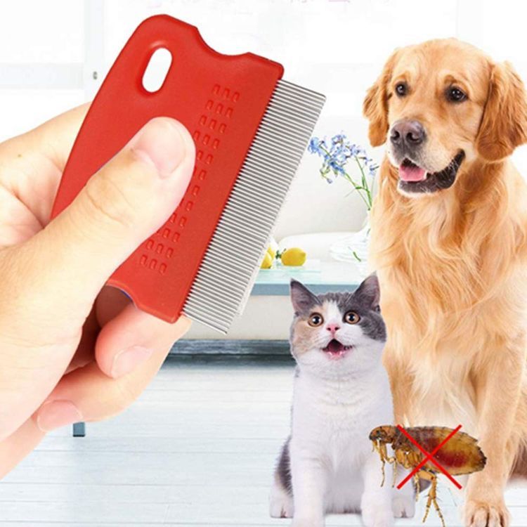 No. 8 - Dog Flea Comb - 4