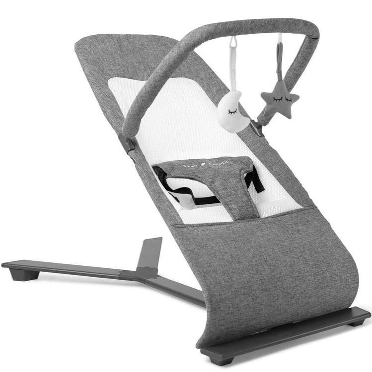 No. 4 - Baby Delight Alpine Deluxe Portable Bouncer - 1