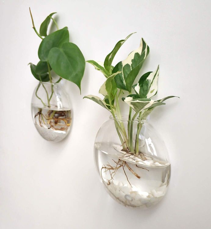 No. 3 - Mkono Glass Terrariums - 3