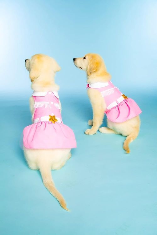 No. 3 - Doggy Parton Pink Cowgirl Collared Dress - 5