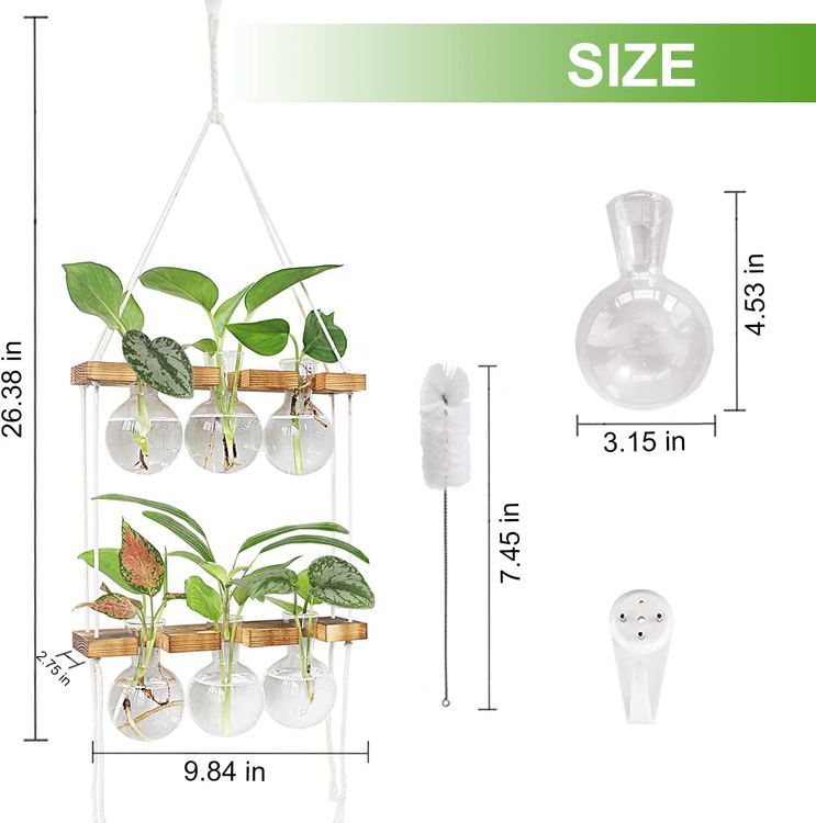 No. 5 - Wall Hanging Planter Terrarium - 5