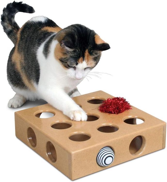 No. 10 - SmartCat Peek and Play Toy Box - 4