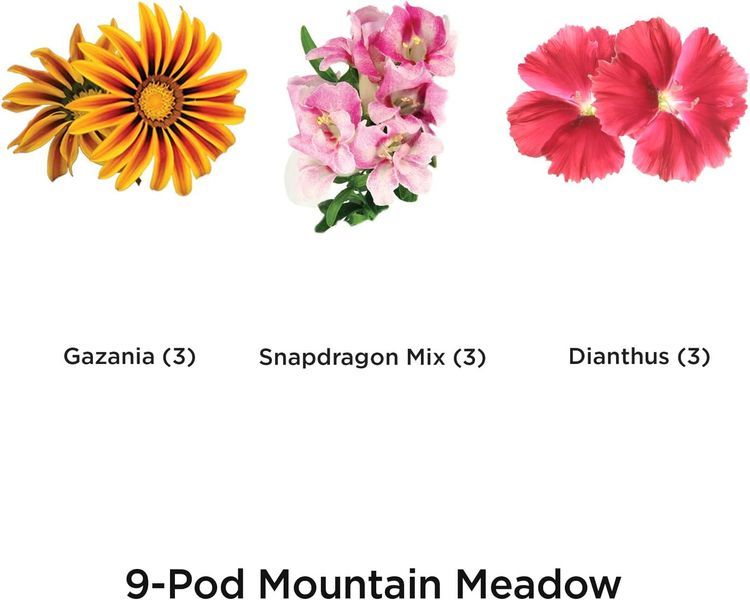 No. 10 - AeroGarden Mountain Meadow Seed Kit - 3