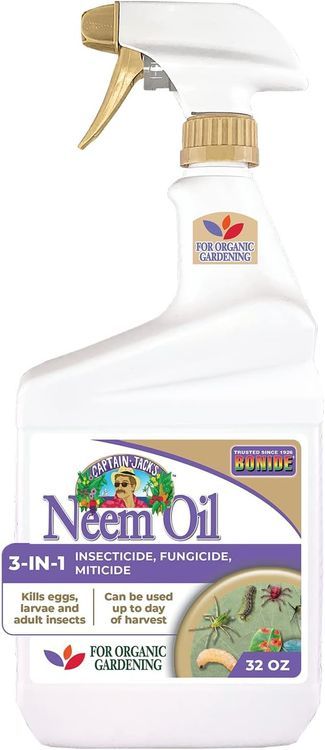 No. 4 - Bonide Captain Jack's Neem Oil - 1