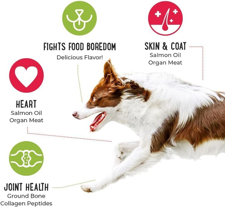 No. 9 - iHeartDogs Dog Food Topper - 3