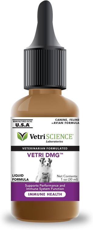 No. 8 - Vetri-DMG - 1