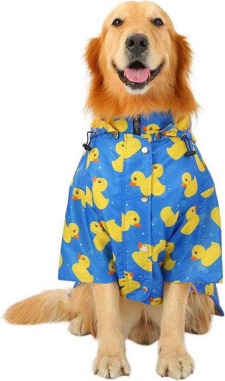 No. 10 - HDE Dog Raincoat - 2