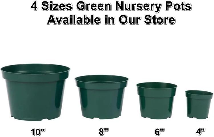 No. 1 - RooTrimmer Nursery Pot - 5