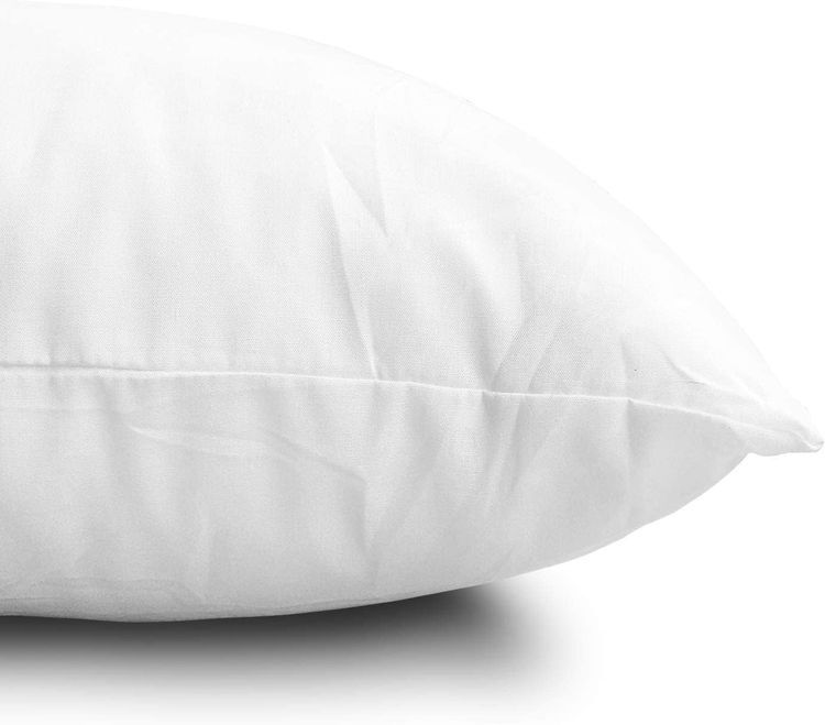 No. 10 - Quality Pillow Inserts - 3