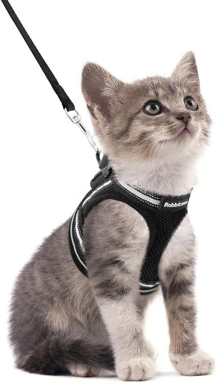 No. 9 - rabbitgoo Cat Harness and Leash Set - 1