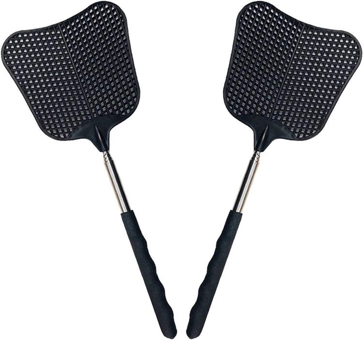 No. 2 - Foxany Telescopic Fly Swatters - 1