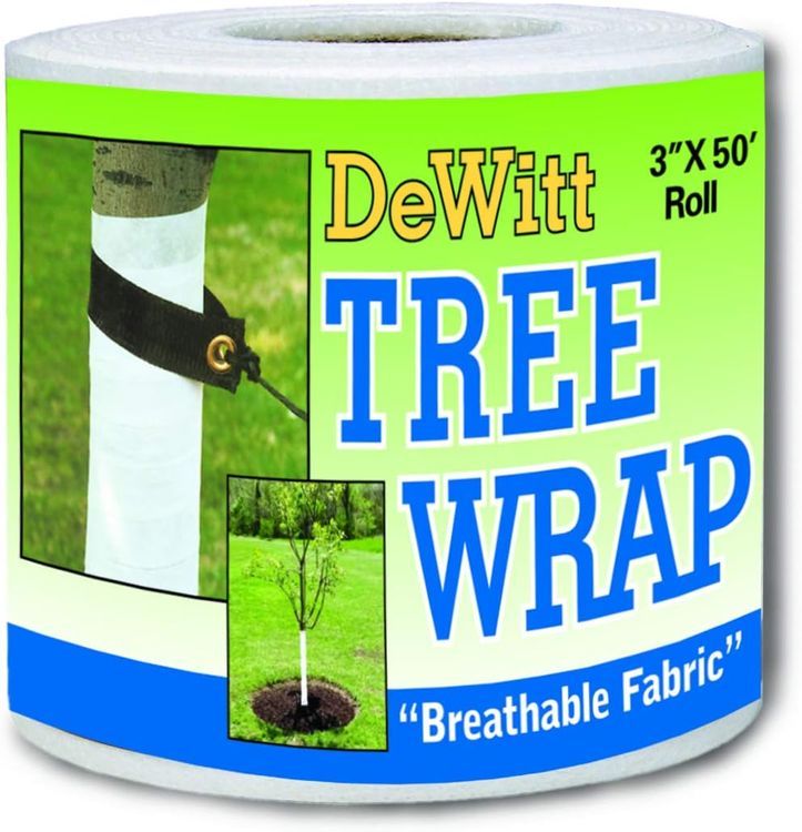 No. 4 - DeWitt Tree Wrap - 1