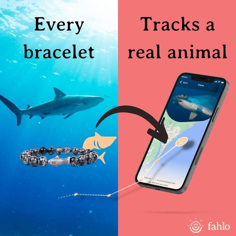 No. 10 - Fahlo Shark Tracking Bracelet - 2