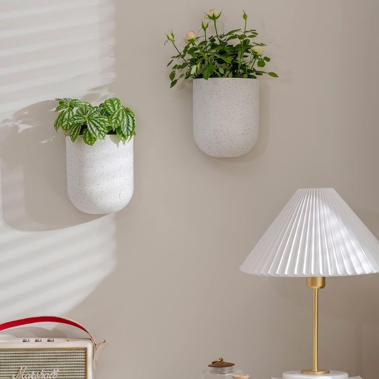 No. 8 - Hanging Planters - 2