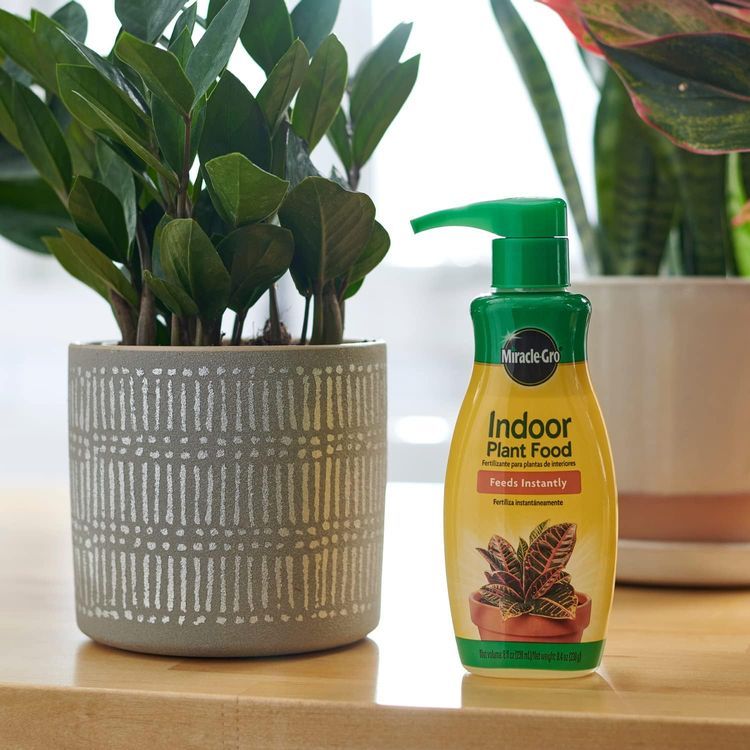 No. 4 - Miracle-Gro Indoor Plant Food - 4