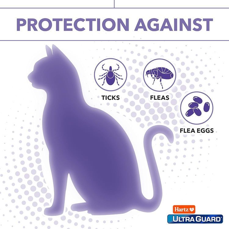 No. 5 - Hartz UltraGuard Plus Cat Flea & Tick Spray - 5