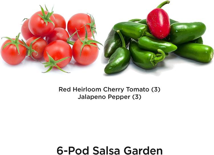 No. 7 - AeroGarden Salsa Garden Seed Pod Kit - 2