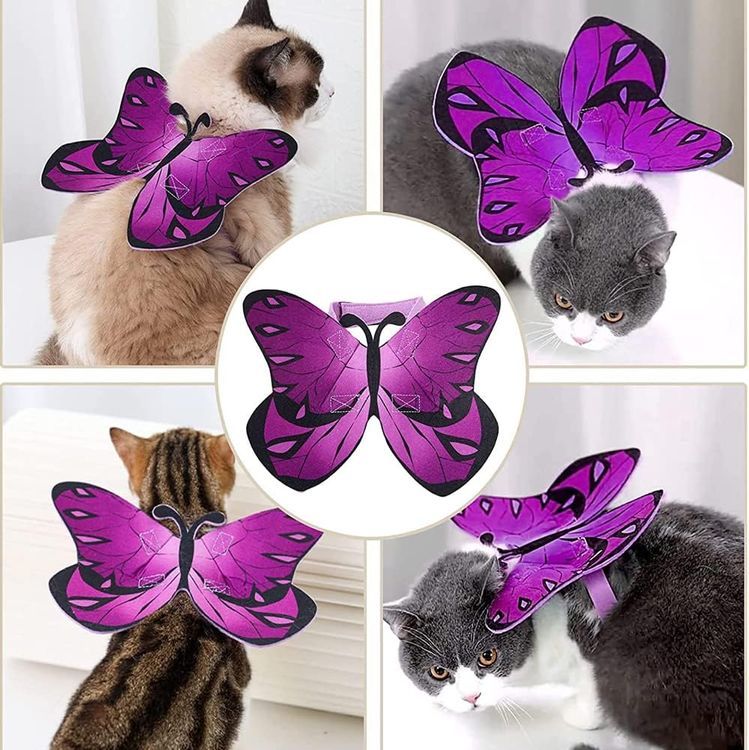 No. 9 - Cat Dog Butterfly Costume Wings - 4