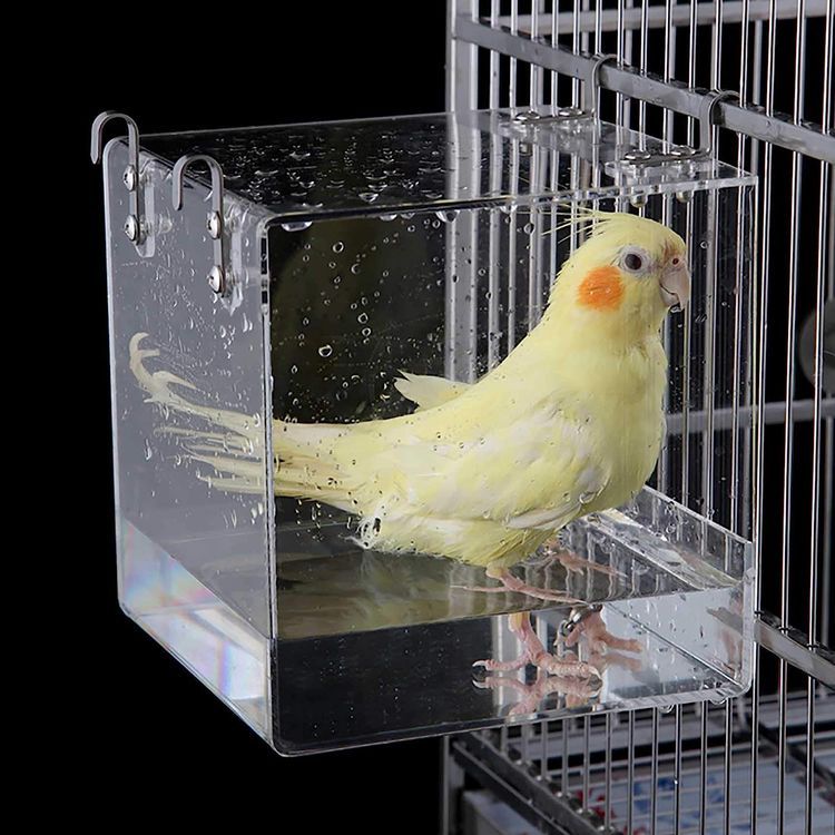 No. 7 - EnoYoo Bird Bath Cage - 1