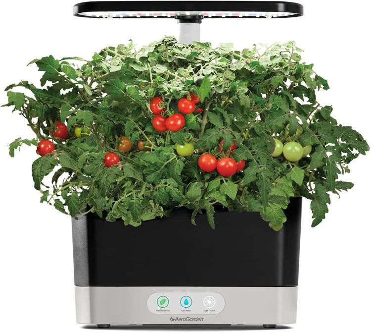 No. 6 - AeroGarden Red Heirloom Cherry Tomato Seed Pod Kit - 4