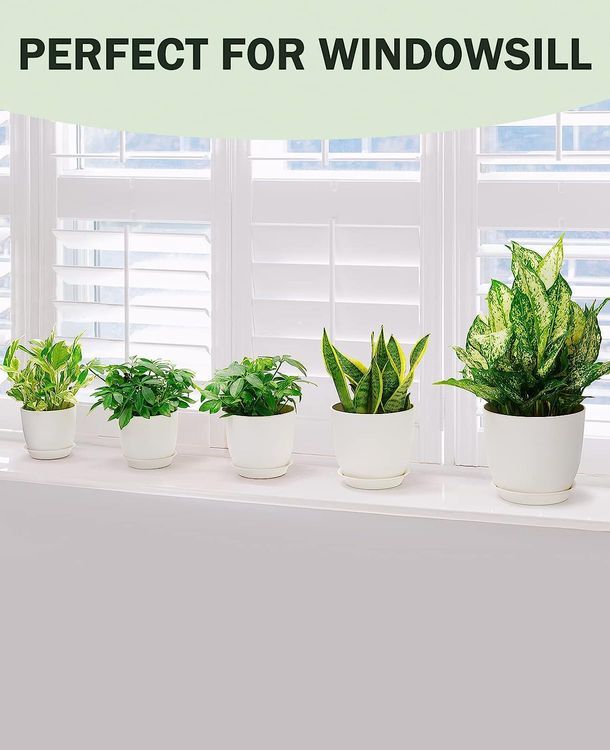 No. 2 - HOMENOTE Plastic Planters - 2