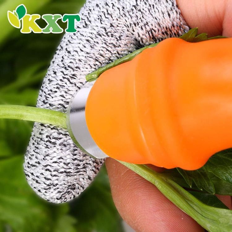 No. 5 - Thumb Knife for Garden - 5