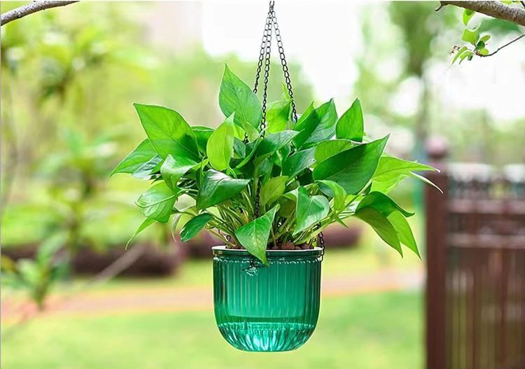 No. 2 - Melphoe Hanging Planters - 4