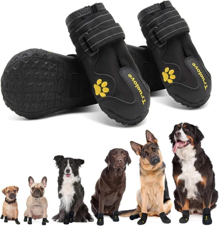 No. 6 - EXPAWLORER Dog Boots - 1