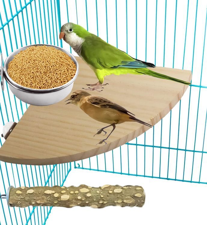 No. 1 - Stainless Steel Bird Feeding Dish Cups - 4