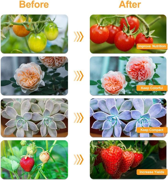 No. 8 - bseah Grow Light Plant Lights for Indoor Plants - 5