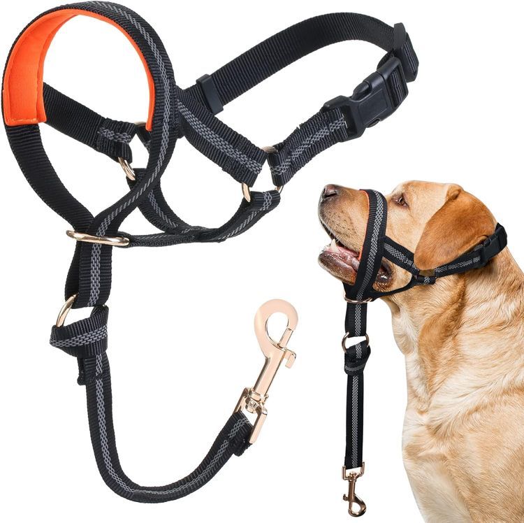 No. 6 - Dog Head Collar - 1