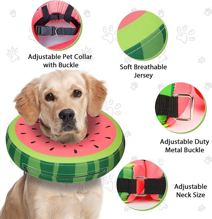 No. 4 - MIDOG Dog Cone Collar - 4