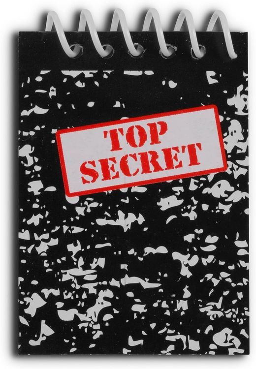 No. 5 - Bedwina Top Secret Mini Notebooks - 2