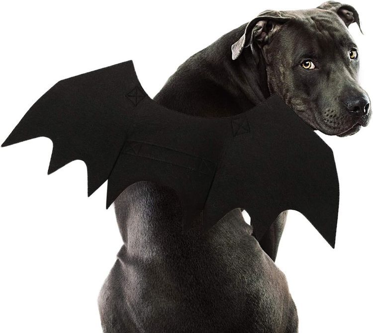 No. 5 - Rypet Dog Bat Costume - 1