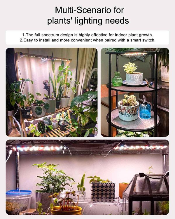 No. 5 - DOMMIA Grow Lights - 3