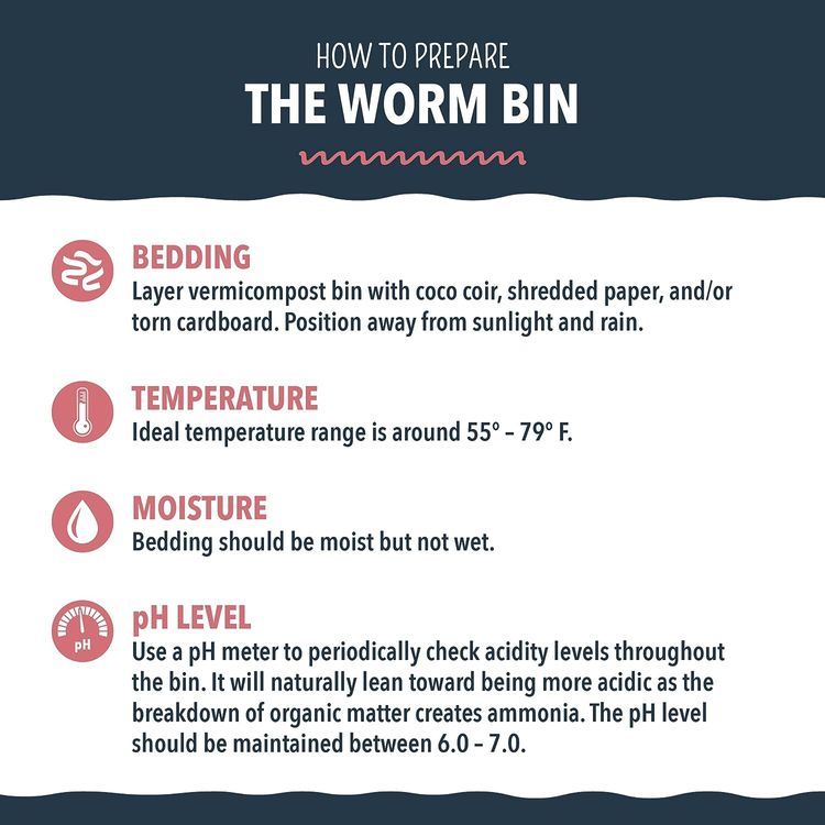 No. 9 - Worm Nerd Composting Worms - 4