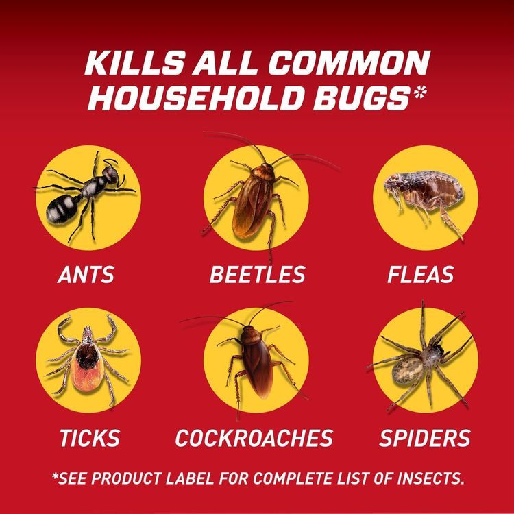 No. 2 - Ortho Home Defense Insect Killer - 4