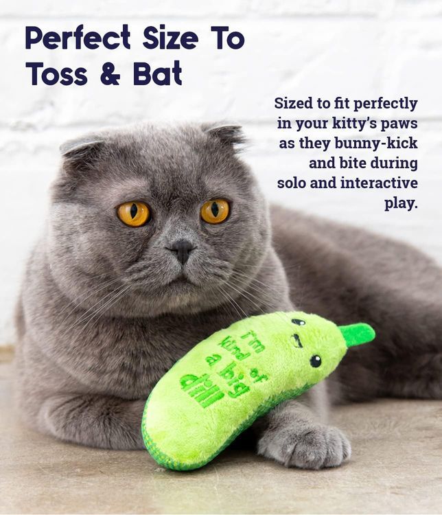 No. 1 - Crunchy Pickle Kicker Cat Toy - 4