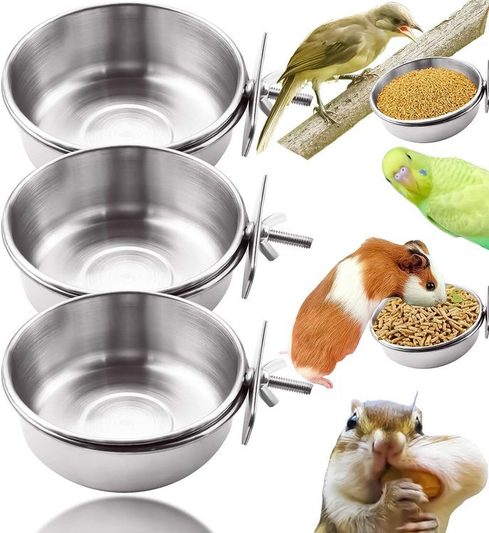 No. 1 - Stainless Steel Bird Feeding Dish Cups - 1