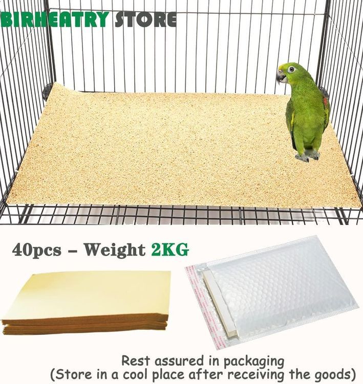 No. 8 - Birheatry Gravel Paper - 5