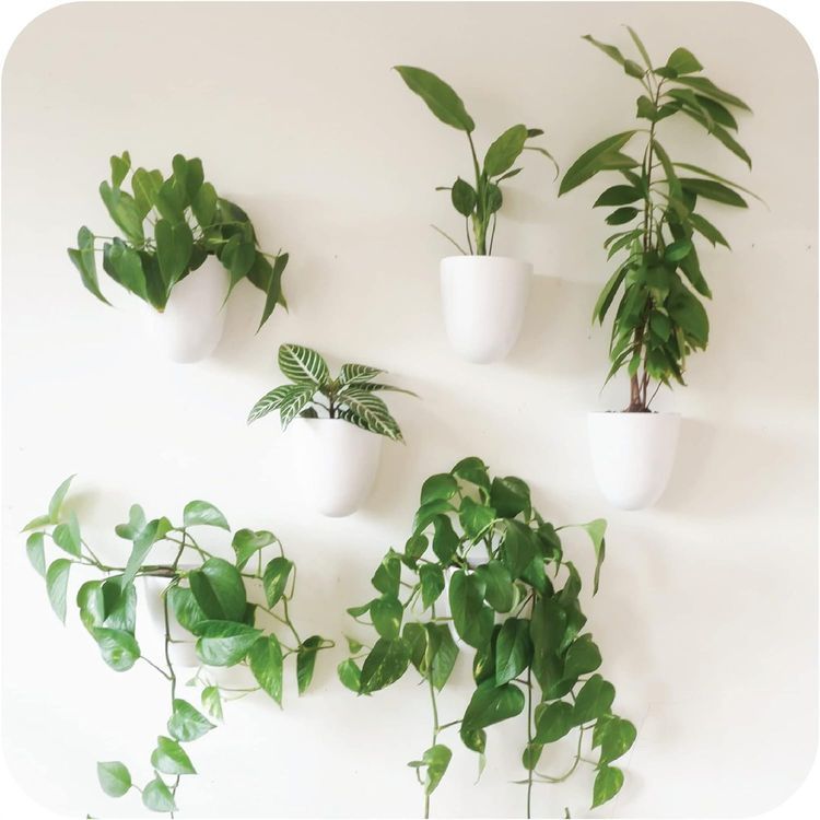 No. 2 - Virgo Self-Watering Wall Planters - 1