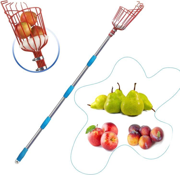 No. 10 - HOSKO Fruit Picker Tool - 1