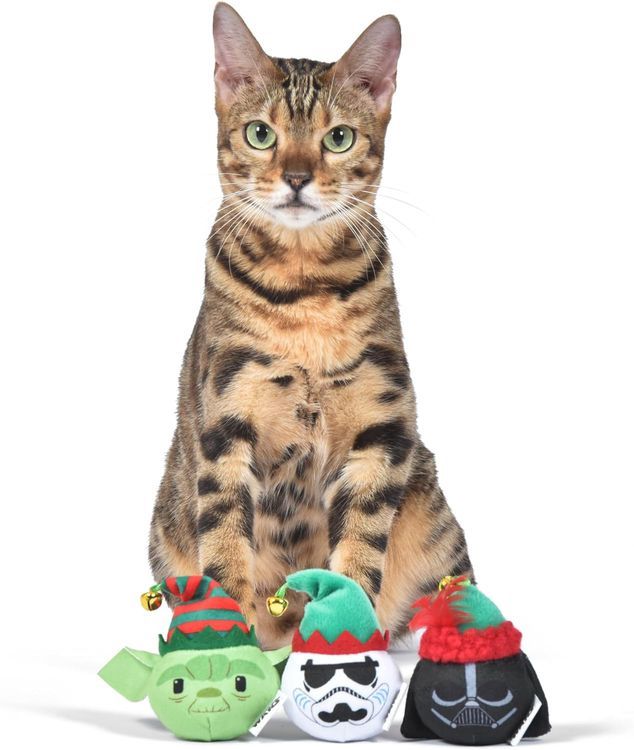 No. 2 - Star Wars for Pets Holiday 3 Pack Cat Toys - 3