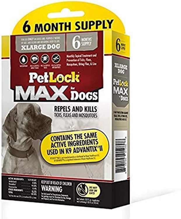 No. 6 - Petlock Max - 1