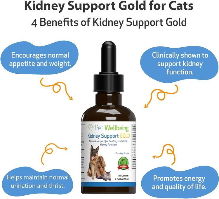 No. 7 - Kidney Support Gold - 3