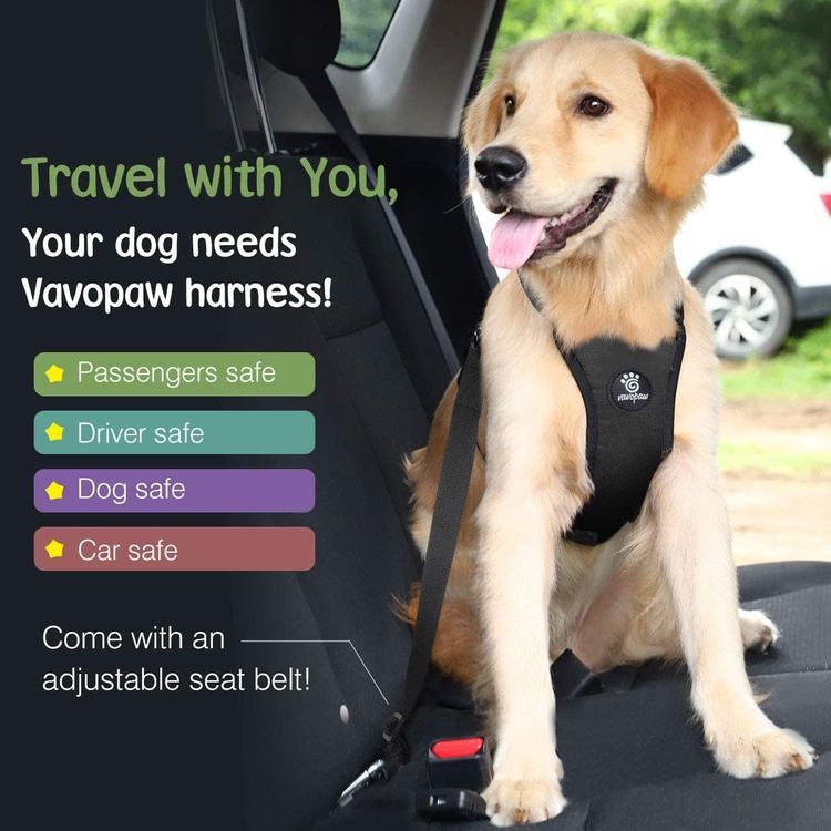 No. 5 - VavoPaw Dog Vehicle Safety Vest Harness - 3