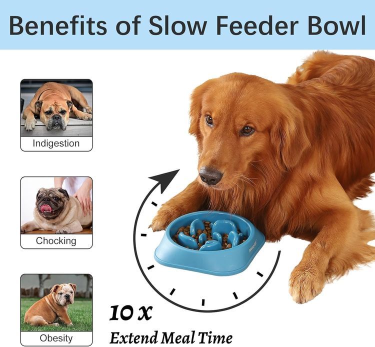 No. 7 - MateeyLife Slow Feeder Dog Bowls 2PCS - 2