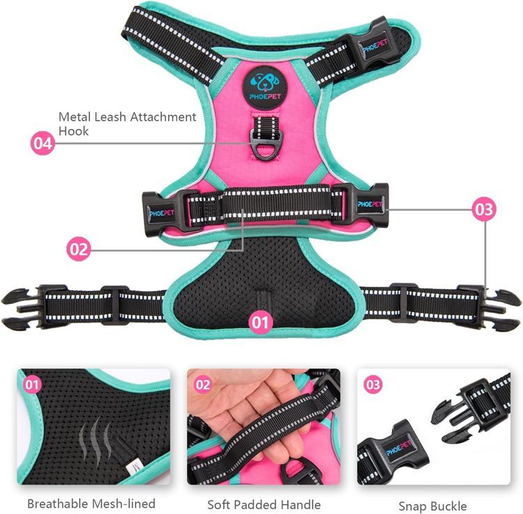 No. 10 - PHOEPET No Pull Dog Harness - 3