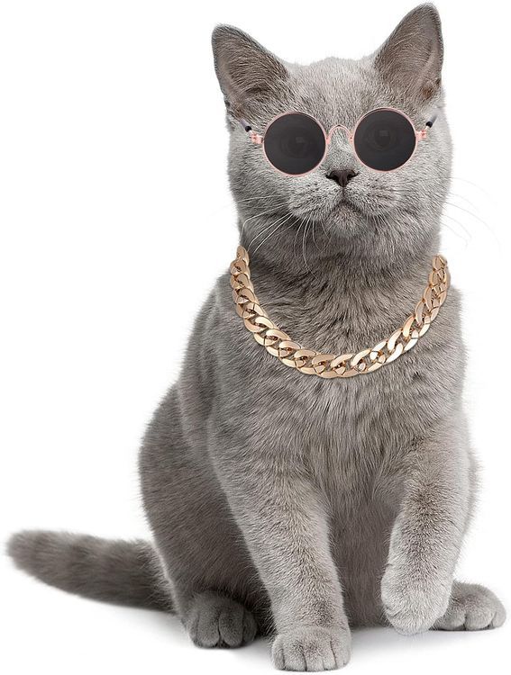 No. 5 - Molain Cat Sunglasses and Collar Necklace - 3