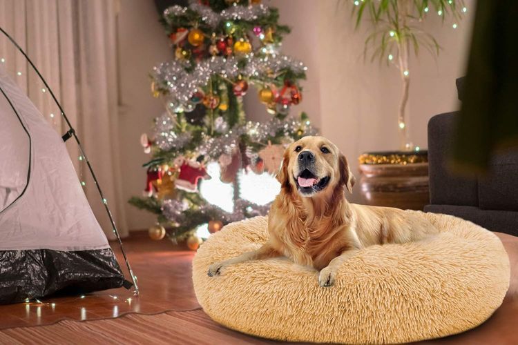 No. 4 - OQQ Dog Bed - 5